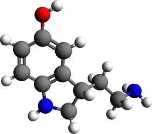 Eiaculazione precoce e serotonina